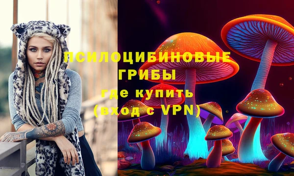 ГАЛЛЮЦИНОГЕННЫЕ ГРИБЫ Вяземский