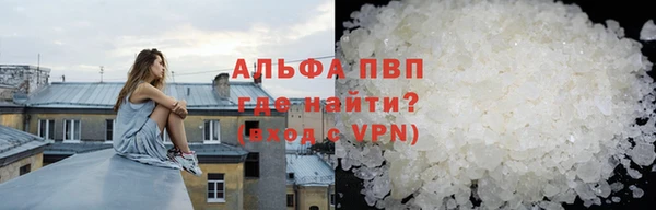 ГАЛЛЮЦИНОГЕННЫЕ ГРИБЫ Вяземский