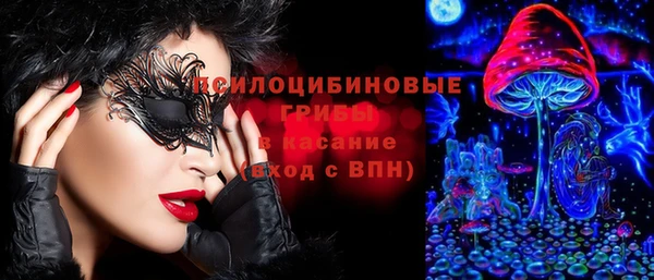 стаф Горнозаводск