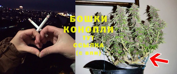 гидра Сосновка