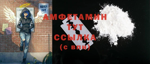 ГАЛЛЮЦИНОГЕННЫЕ ГРИБЫ Вяземский